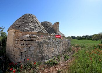 Trullo Strada Chirulli Piccolo, Martina Franca - foto 18
