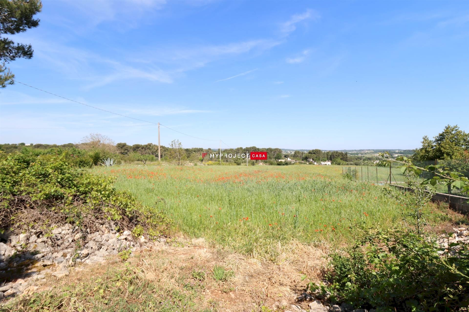 Terreno agricolo Direzione Via Mottola, Martina Franca - foto 2