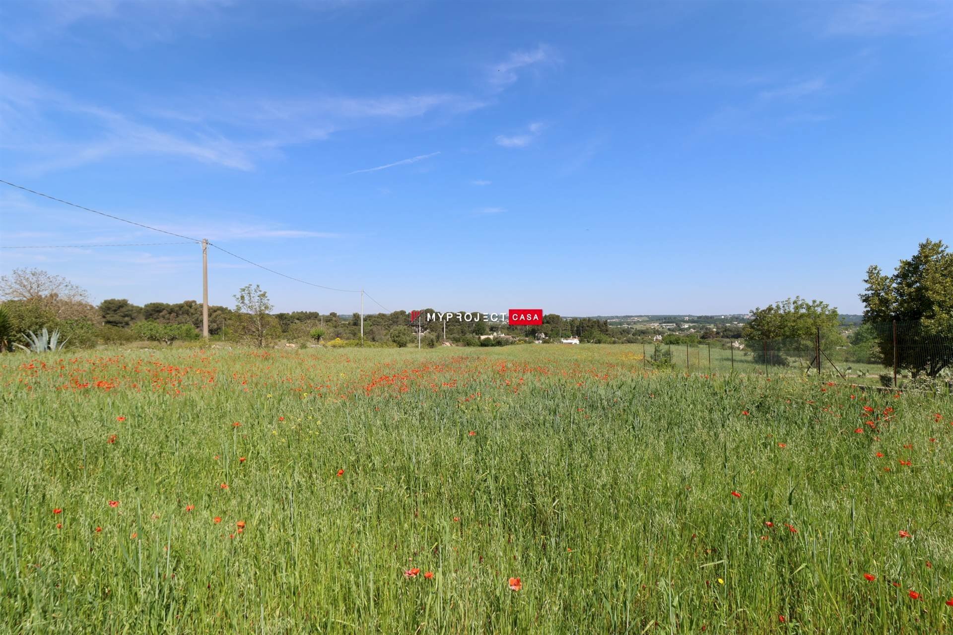 Terreno agricolo Direzione Via Mottola, Martina Franca - foto 3