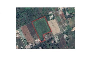 Terreno agricolo Direzione Via Mottola, Martina Franca - foto 4