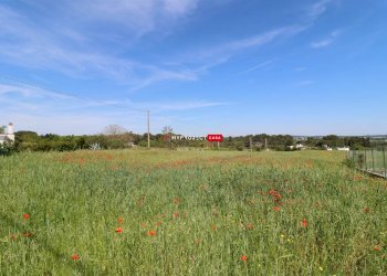 Terreno agricolo Direzione Via Mottola, Martina Franca - foto 1