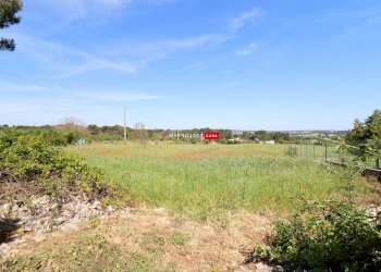 Terreno agricolo Direzione Via Mottola, Martina Franca - foto 2