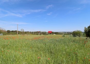 Terreno agricolo Direzione Via Mottola, Martina Franca - foto 3