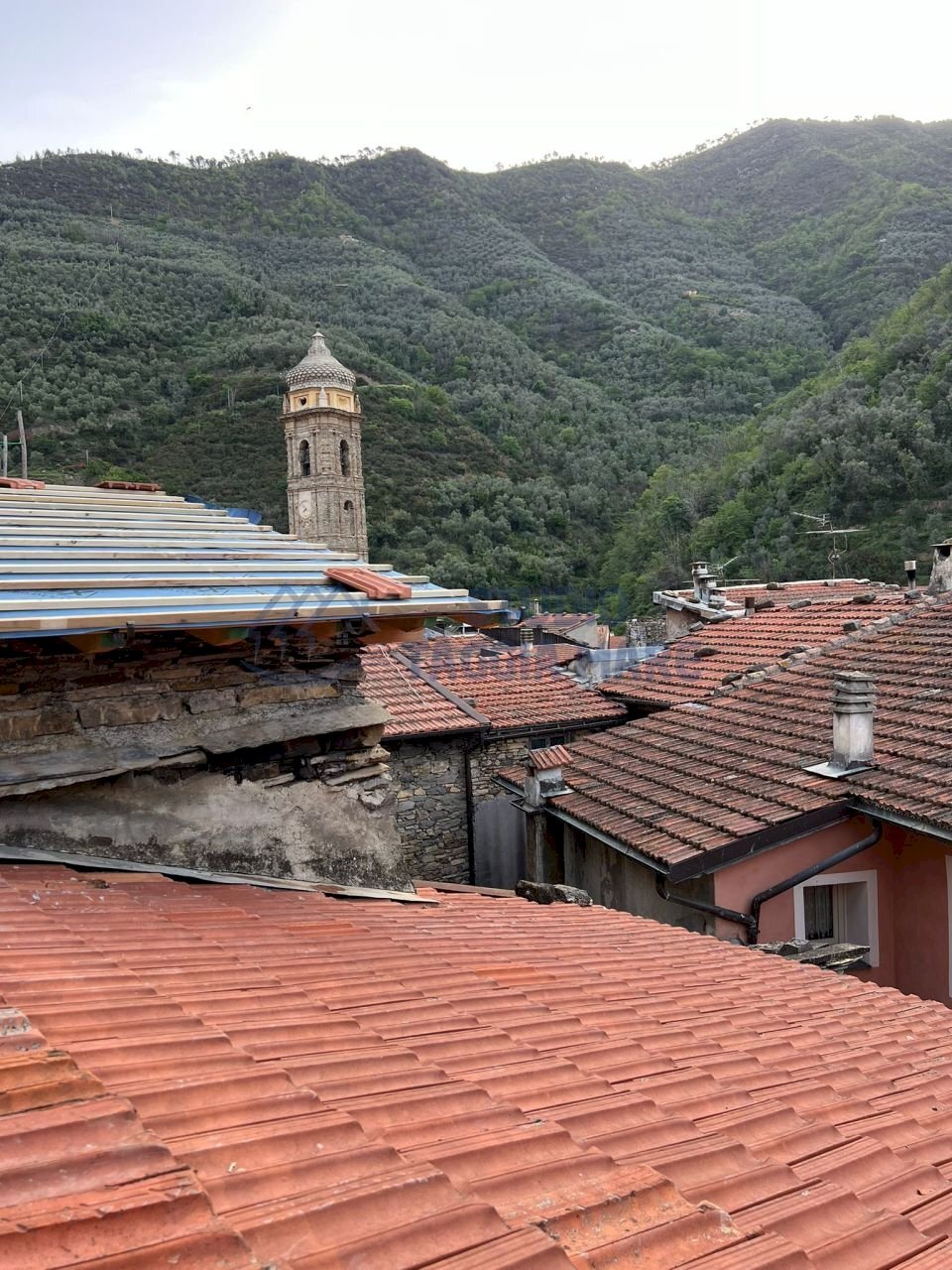 Immagine WhatsApp 2024-05-01 ore 15.31.15_5244b871 - Porzione di casa Via Vincenzo Gioberti, Badalucco - foto 2