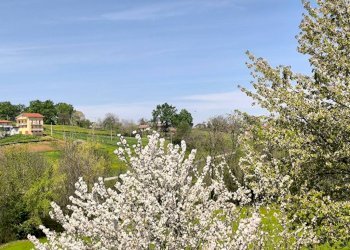 Vista - Rustico Villanova Mondovì - foto 23