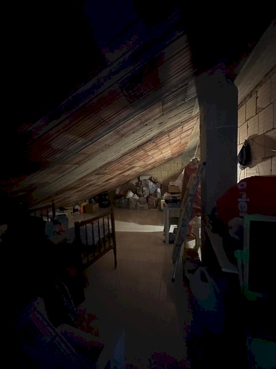 WhatsApp Image 2024-05-02 at 11.46.59 (2).jpeg - Apartment Offida - photo 3