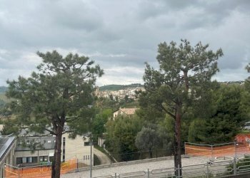 WhatsApp Image 2024-05-02 at 11.46.58.jpeg - Appartamento Offida - foto 11