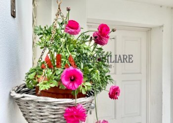 Particolare - Casa indipendente Via Venezia, Pontedera - foto 22