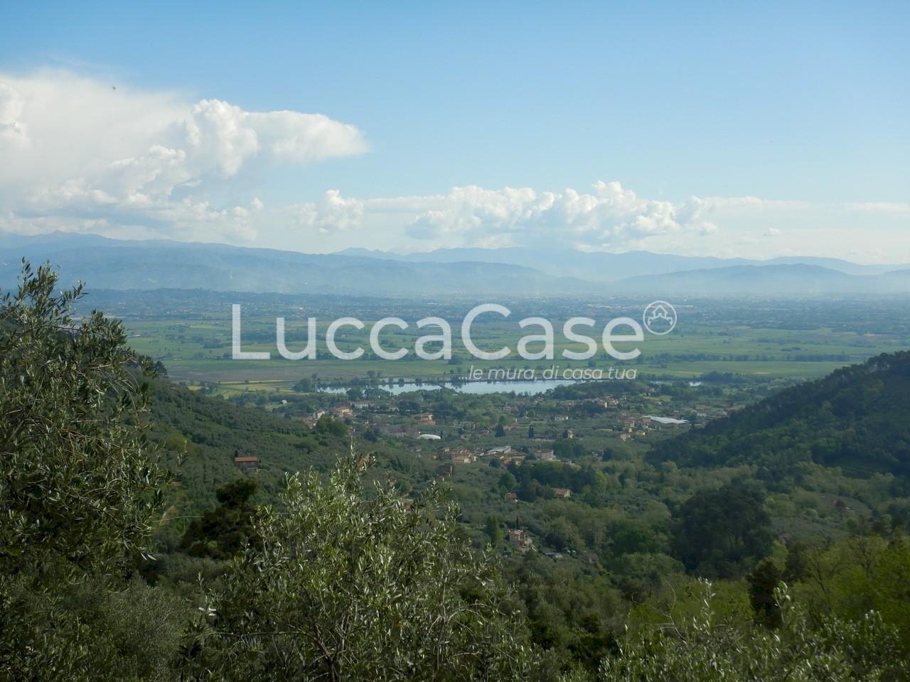 Terreno agricolo Capannori - foto 1