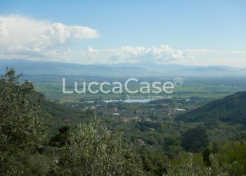 Terreno agricolo Capannori - foto 1