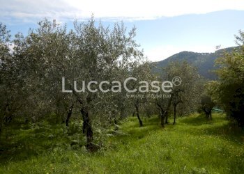 Terreno agricolo Capannori - foto 4