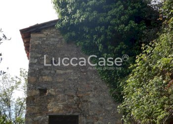 Terreno agricolo Capannori - foto 9