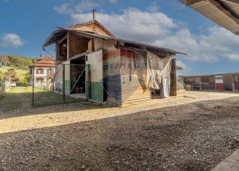 Independent house Via Silvio Sardi, 20 
 Salussola, Salussola - photo 64