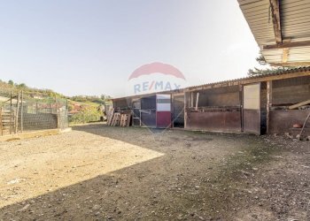 Independent house Via Silvio Sardi, 20 
 Salussola, Salussola - photo 65