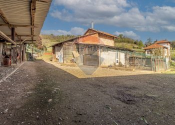 Independent house Via Silvio Sardi, 20 
 Salussola, Salussola - photo 67