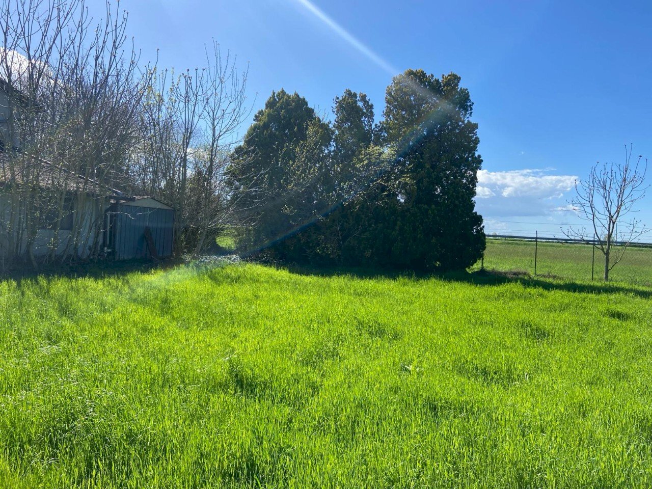 Independent house Reggio nell'Emilia - photo 1