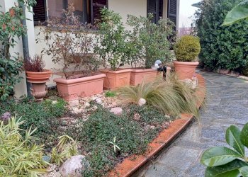Villa Unifamiliare Piacenza - foto 42