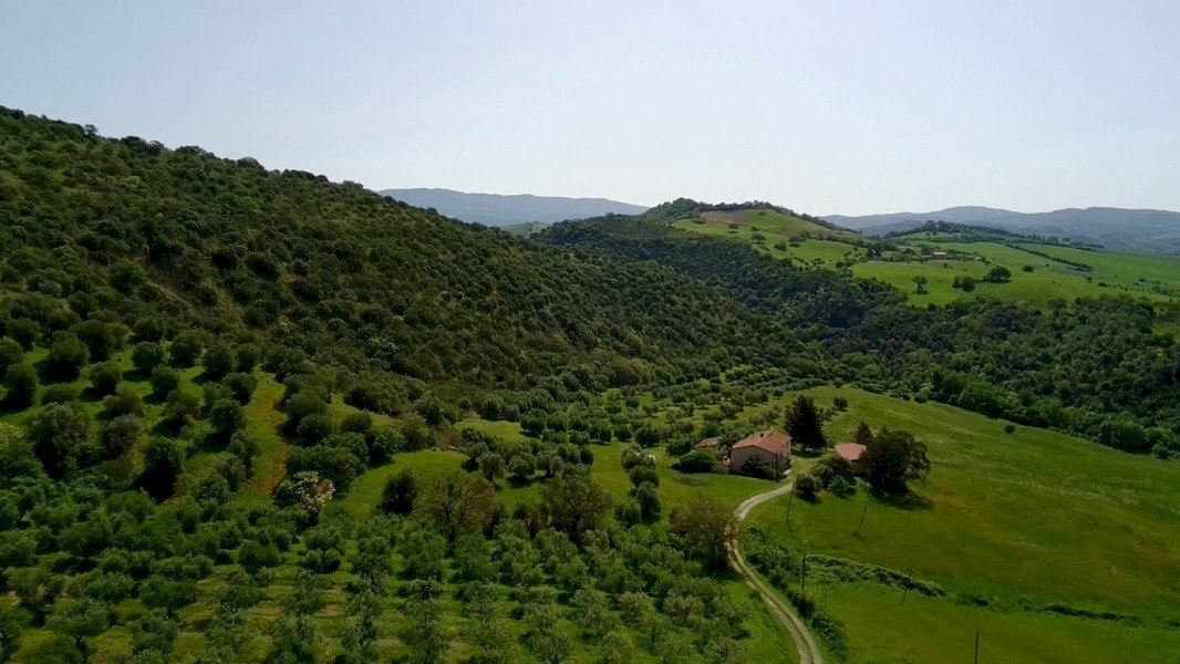 Farm Cinigiano - photo 1