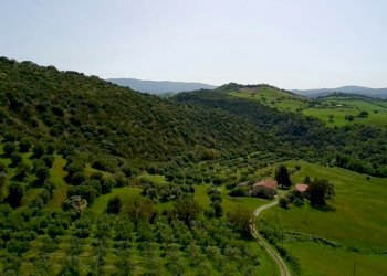 Azienda agricola Cinigiano - foto 1
