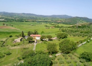 Azienda agricola Cinigiano - foto 3