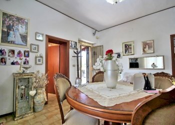 Azienda agricola Cinigiano - foto 9