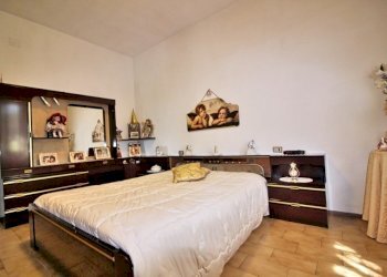 Azienda agricola Cinigiano - foto 15