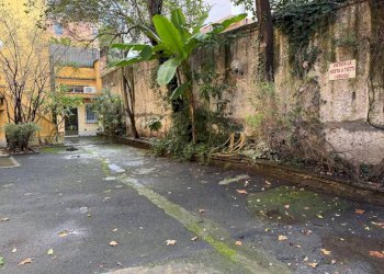 Giardino - Ufficio viale Parioli, 28, Roma - foto 20