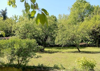 giardino - Villa Bifamiliare via Fornace, 56, Alpignano - foto 24