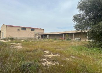 PHOTO-2024-04-09-16-57-13-4.jpg - Locale Commerciale Mazara del Vallo - foto 8