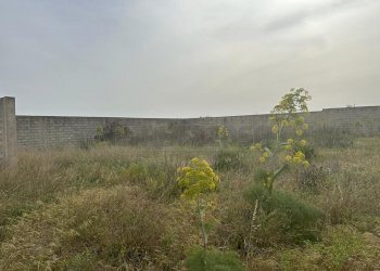 PHOTO-2024-04-09-16-57-13-11.jpg - Locale Commerciale Mazara del Vallo - foto 11