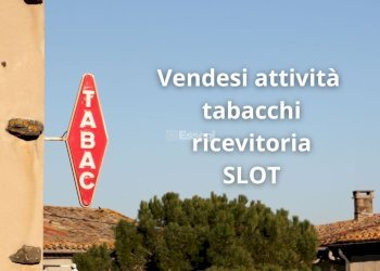 foto per attività commercialicapannoni - Bar - Tabacchi - Ricevitoria Viale G. Puccini 527, Lucca - foto 2