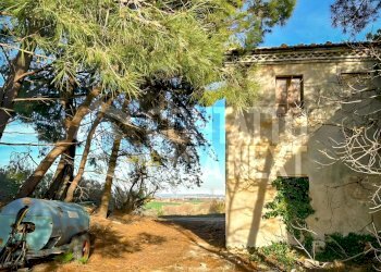 66968.jpg - Casale San Marcello - foto 6