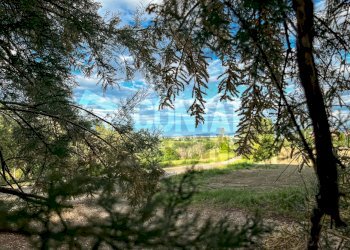 B20E891A-FD97-4CFB-B46C-F04B7FC89C2E.jpeg - Casale San Marcello - foto 4