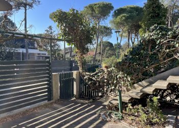 Appartamento Cervia - foto 5