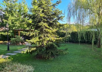 Villa Castellamonte - photo 10