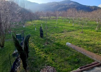 Rustic via maddona dell'oriente  26, Sanfront - photo 7