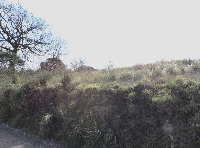 Agricultural land Sessa Aurunca - photo 2