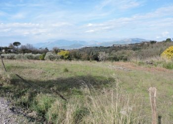 Terreno agricolo Sessa Aurunca - foto 3
