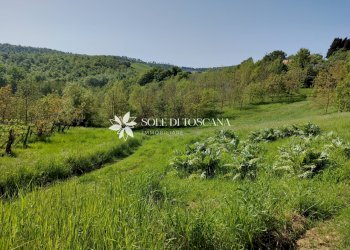 Rustico Loc. Abbadia Sicille, Trequanda - foto 17