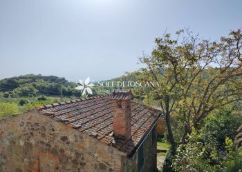 Rustico Loc. Abbadia Sicille, Trequanda - foto 28