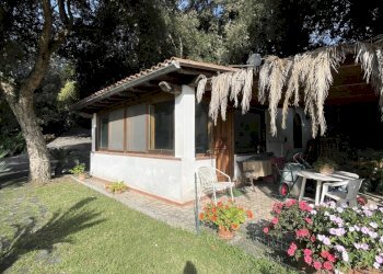 IMG_4847.JPG - Independent house Via Caterattino 30, Sabaudia - photo 14