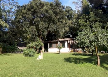 1696589201967.jpg - Independent house Via Caterattino 30, Sabaudia - photo 15