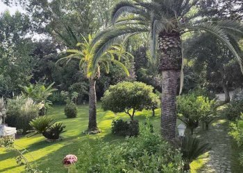 WhatsApp Image 2025-06-27 at 10.25.36 (3).jpeg - Independent house Via Caterattino 30, Sabaudia - photo 18