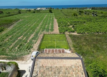 DJI_0003 (2).JPG - Rustico contrada casabianca snc, Marsala - foto 6