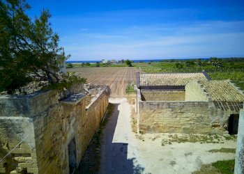 DJI_0038.jpg - Rustico contrada casabianca snc, Marsala - foto 8