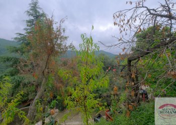 rif 1368(Copy9).jpg - Casale Via Pero 112, Varazze - foto 20