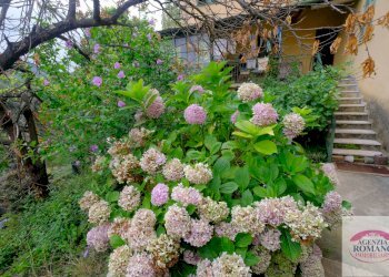 rif 1368(Copy10).jpg - Casale Via Pero 112, Varazze - foto 21