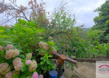 rif 1368(Copy12).jpg - Casale Via Pero 112, Varazze - foto 24