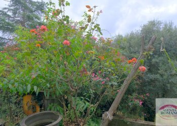 rif 1368(Copy14).jpg - Casale Via Pero 112, Varazze - foto 26