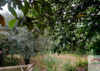 rif 1368(Copy16).jpg - Casale Via Pero 112, Varazze - foto 27